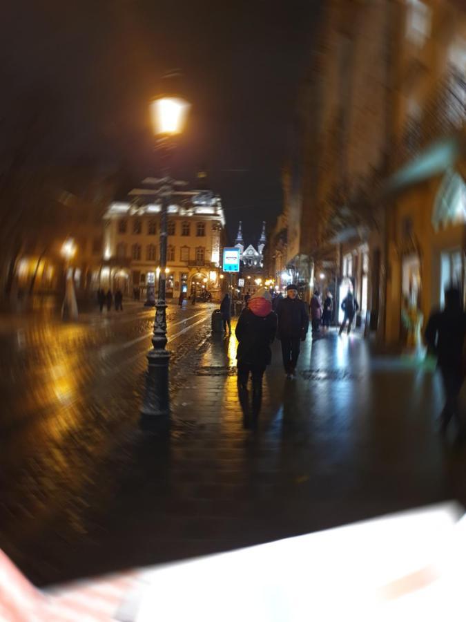 Апартаменти У Шевальє. Lviv Exterior photo